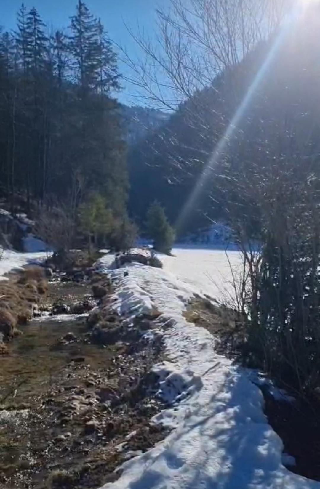 Apartament Bio Bauernhof Geisl St. Ulrich am Pillersee Zewnętrze zdjęcie
